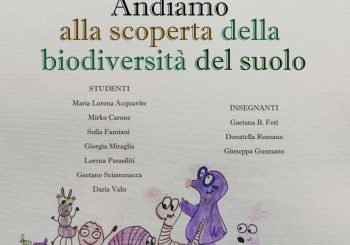 Andiamo alla scoperta della biodiversità del suolo